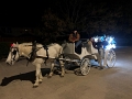 CarriageRide_2021-11 (2)